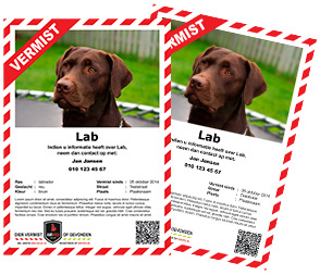 poster vermist