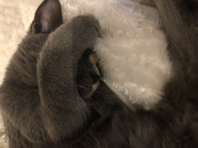 sploqvfp_22443da6-bb79-4749-9e76-5e83875dc15a.jpeg