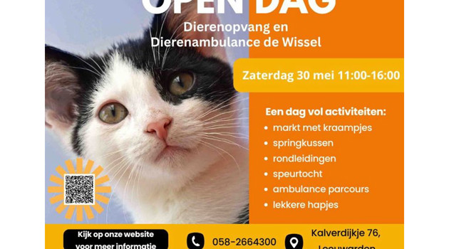 Flyer Dewissel 2026