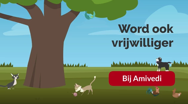 Wordtvrijwilliger