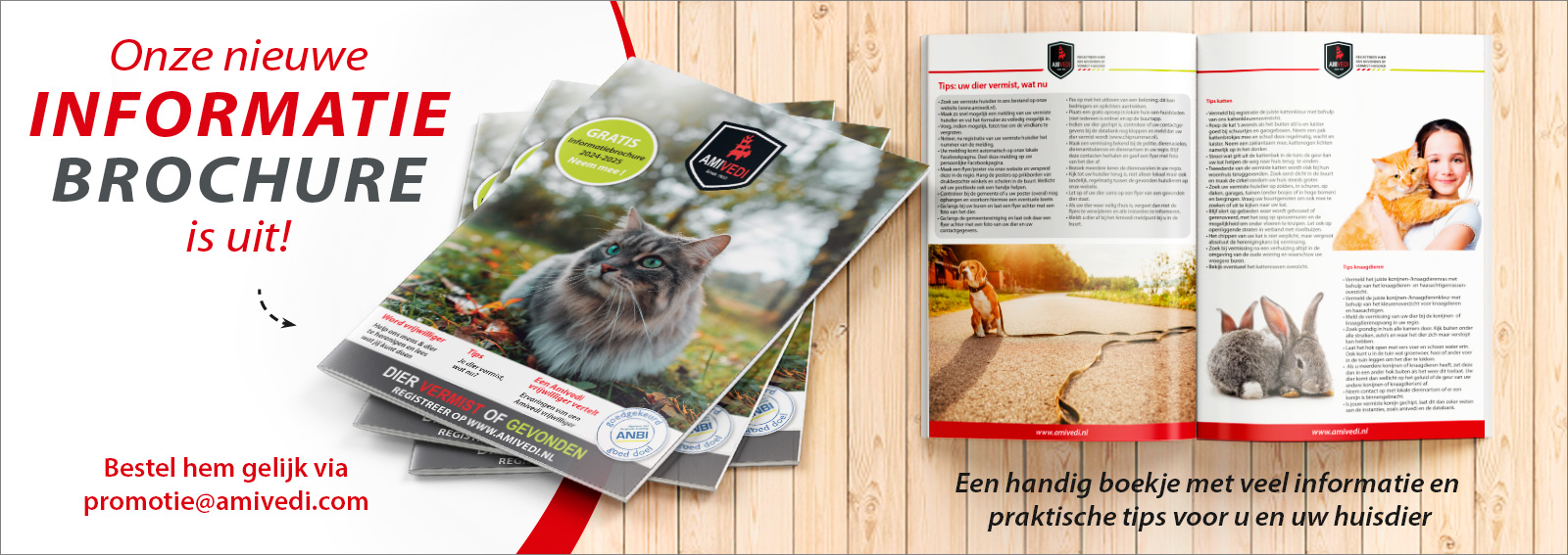 1600X567 Website Header Nwbro2024