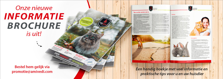 1600X567 Website Header Nwbro2024