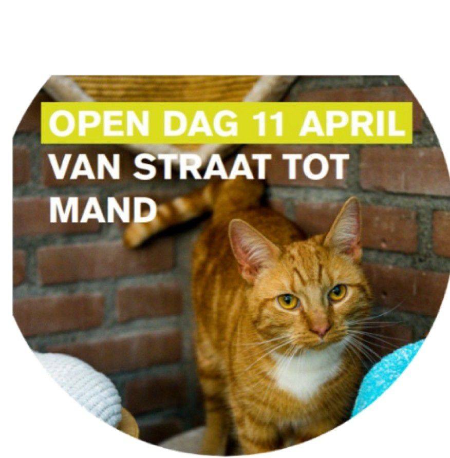 DierenOpvang Gouda (1)