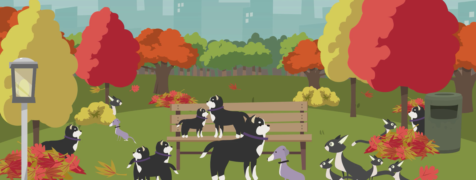 Neutralisatie Banner Zonder Tekst