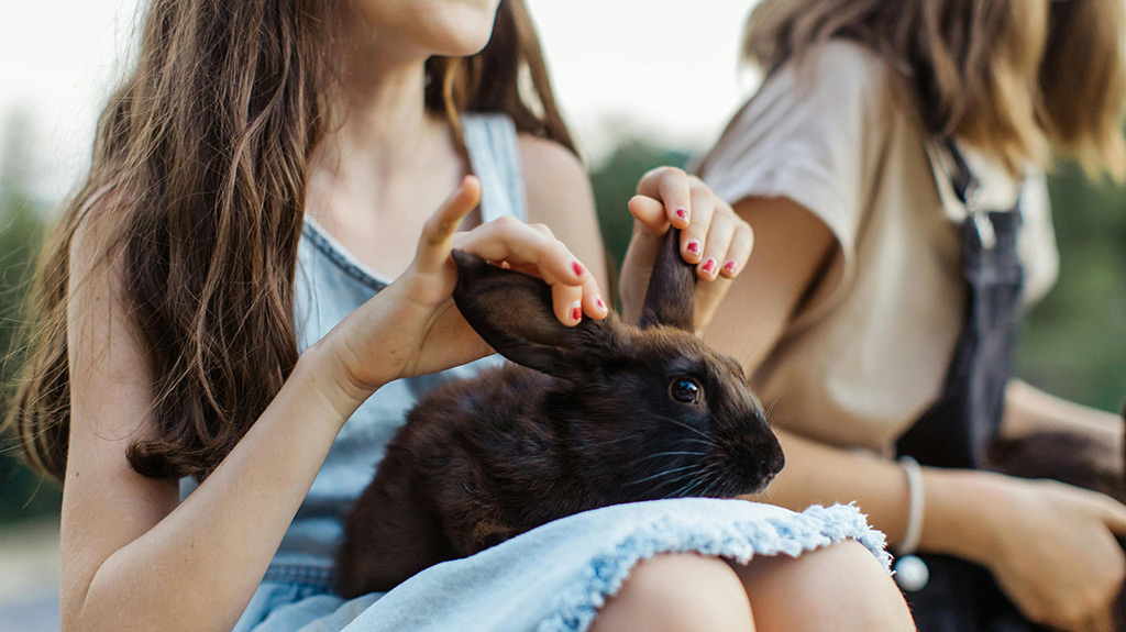 Pexels Anastasia Shuraeva 5126991 1024