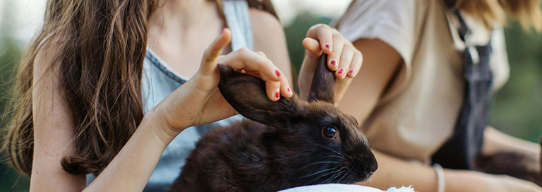 Pexels Anastasia Shuraeva 5126991 1024