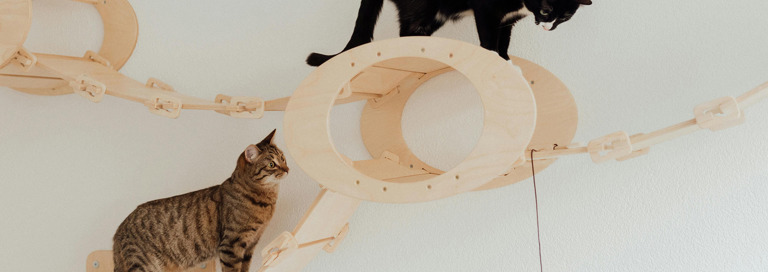 Pexels Arina Krasnikova 7725972 2048