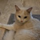 Grumpie2270627a