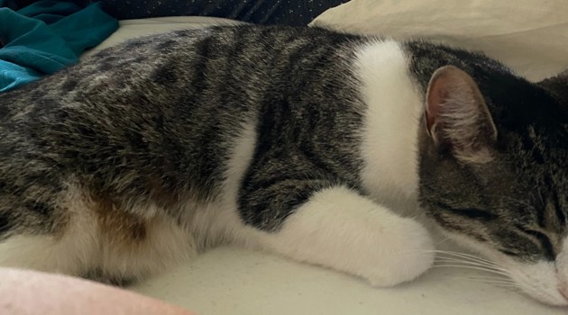 Aqzj7flk 64Eda231 4455 4802 Ae6f 9Ae603bc4ed0