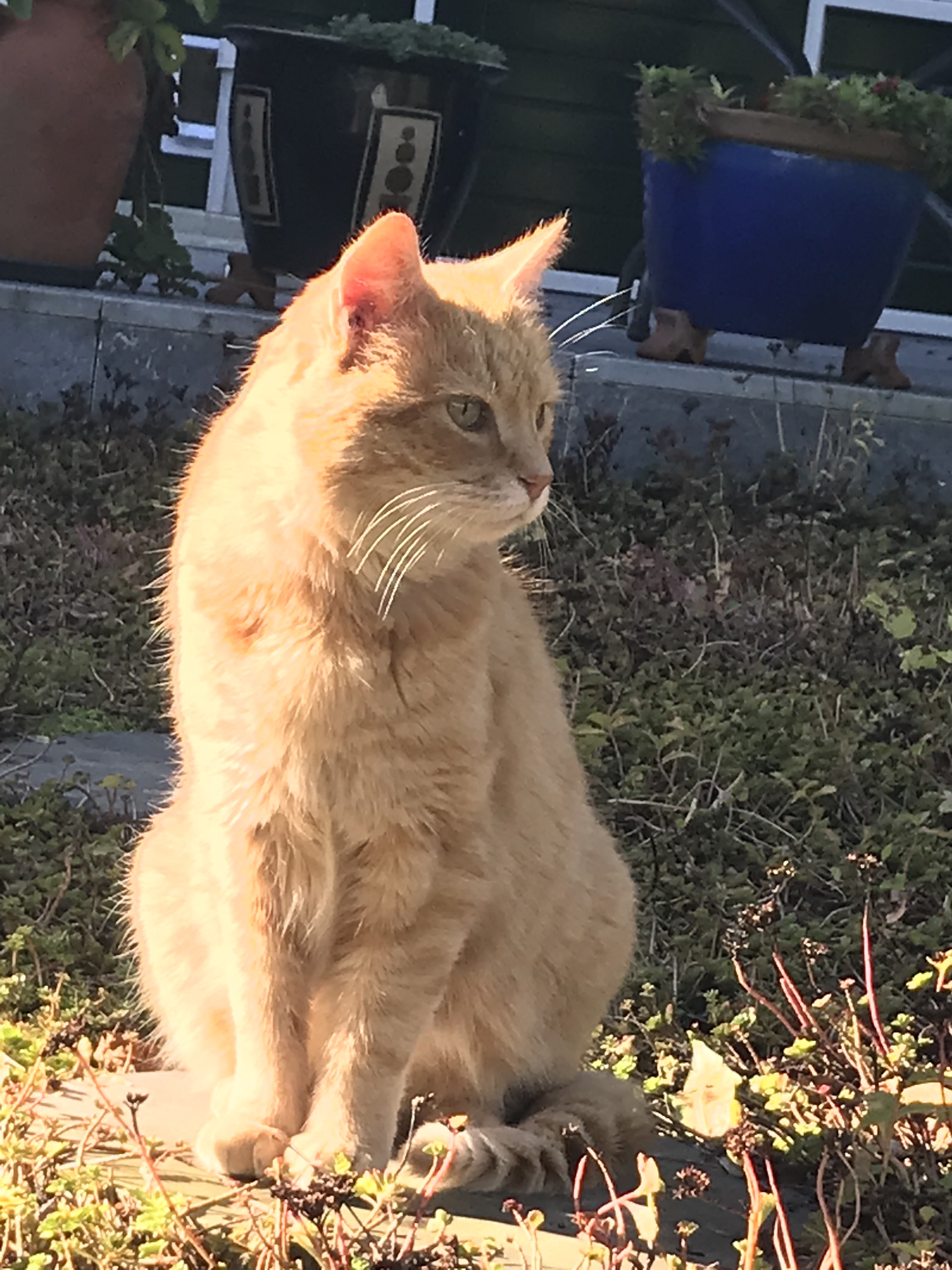 pyhiebwc_IMG_0119.jpg