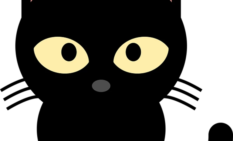 zwarte-kat.png
