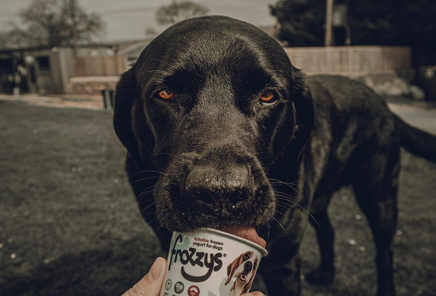 Pexels Photo Kiwic 8129704 Landscape