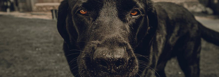 Pexels Photo Kiwic 8129704 Landscape