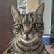 Loki20260922a (1)