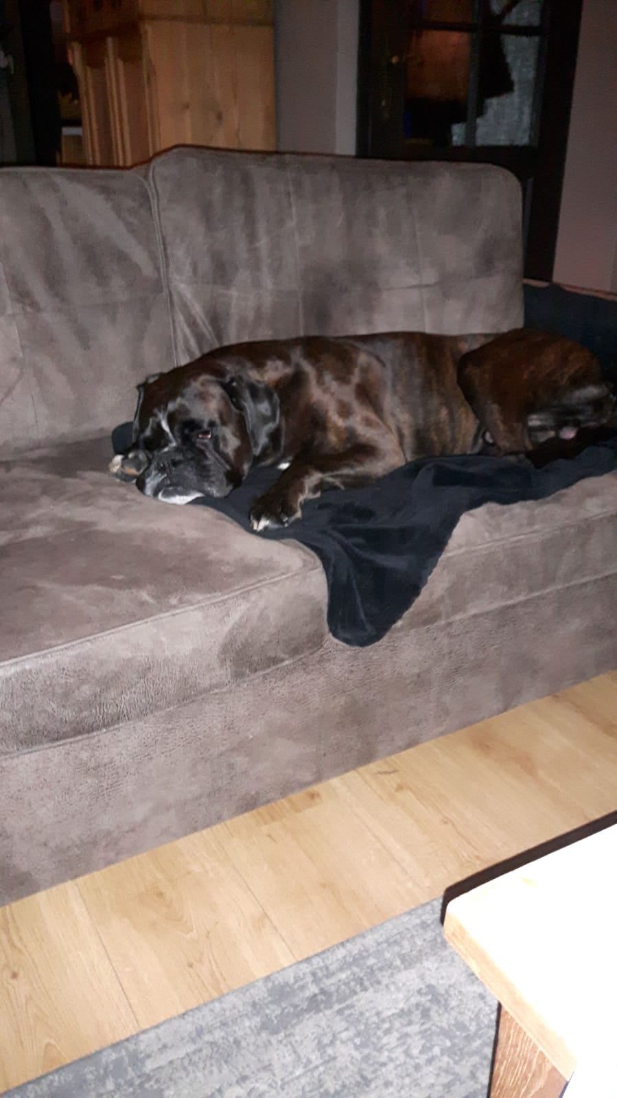 wbo5hh61_img-20190125-wa0017.jpg