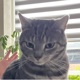 Kimi2233588a