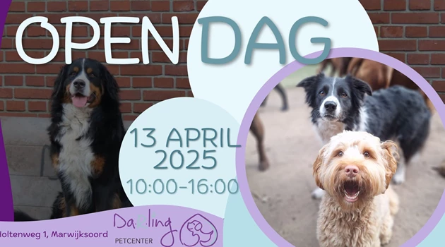 Open Dag 2025 Darling