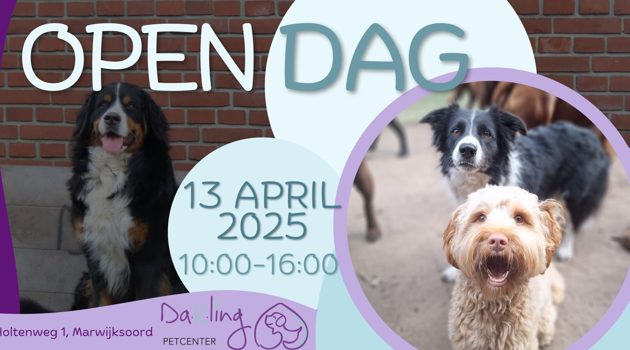 Open Dag 2025 Darling