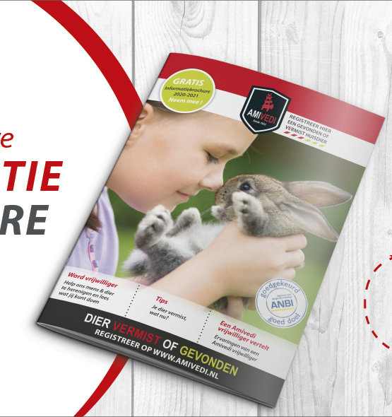 1600X592 Website Brochure2020 Part