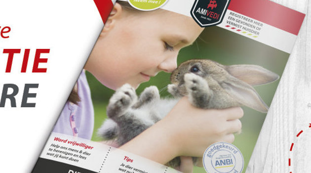 1600X592 Website Brochure2020 Part