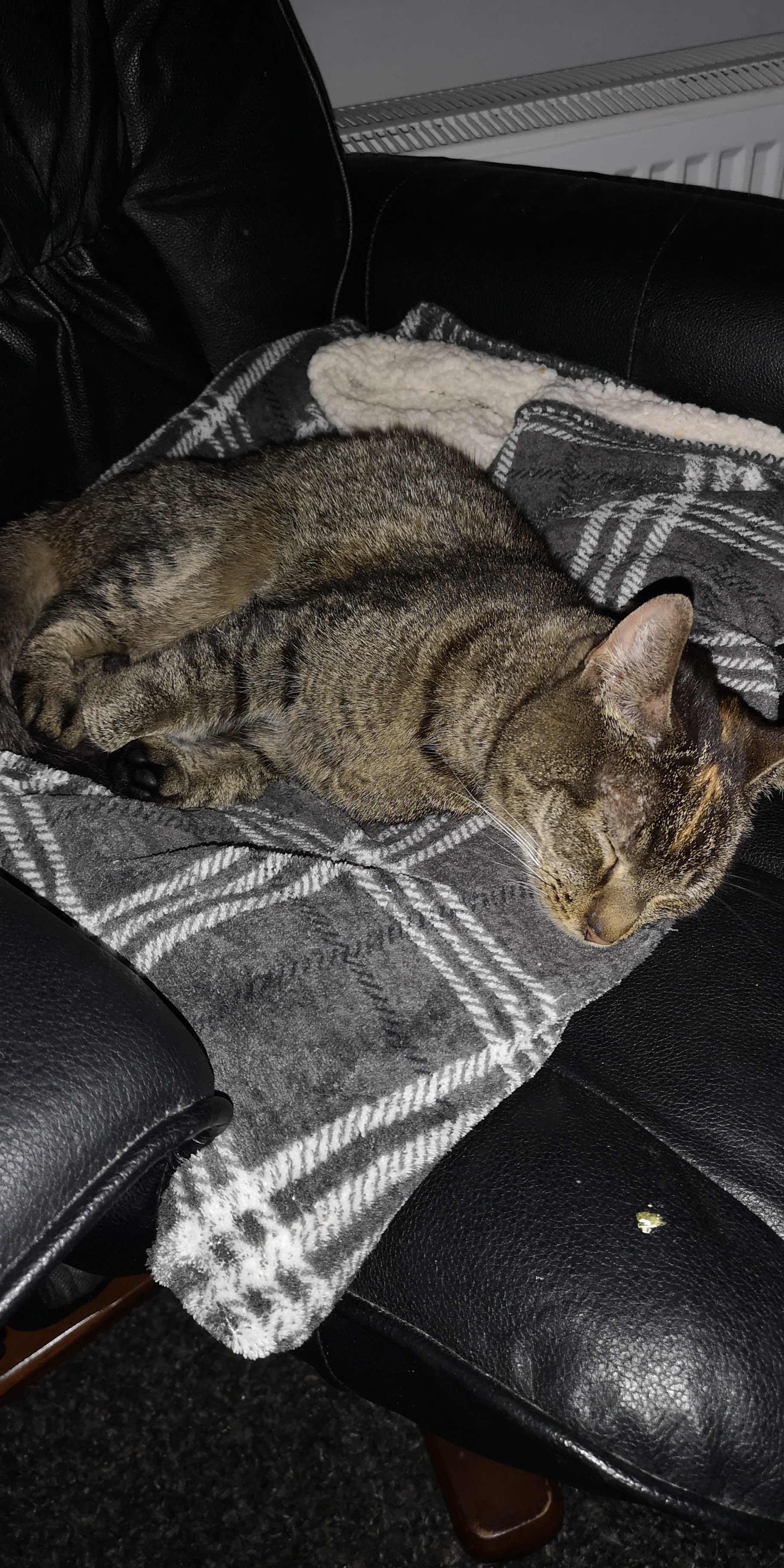 k662z06n_img-20190908-wa0010.jpeg