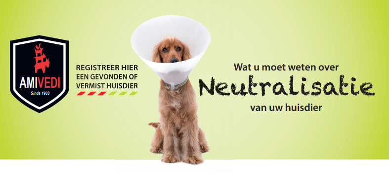 Flyer Neutralisatie