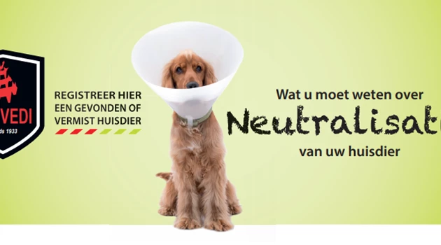 Flyer Neutralisatie