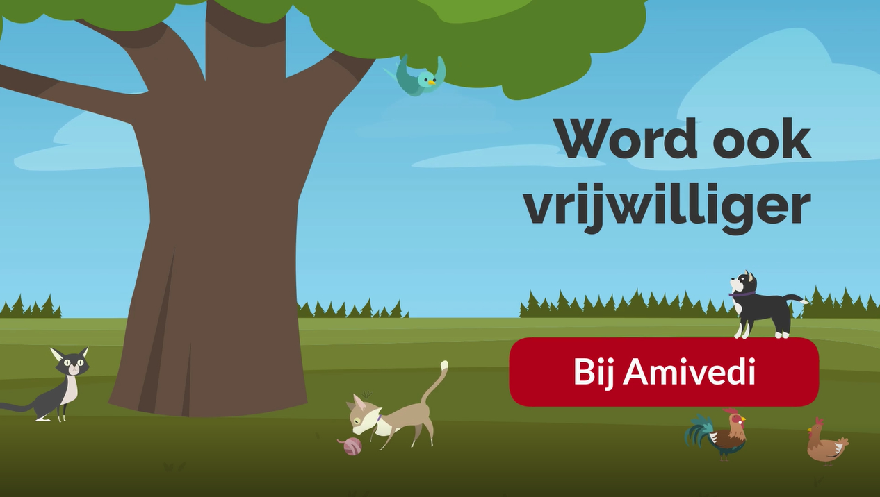Wordtvrijwilliger