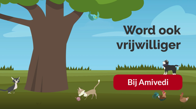 Wordtvrijwilliger