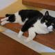 lyiq196e_IMG-20260430-WA0001.jpg