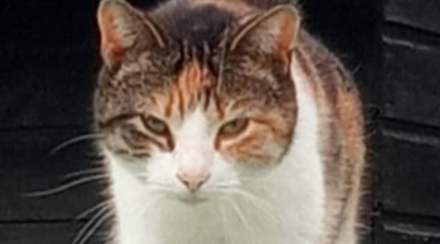 Willemijn2269257a