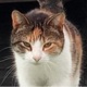 Willemijn2269257a