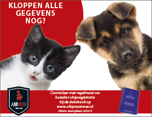 300X230 Controleerchip Actueel