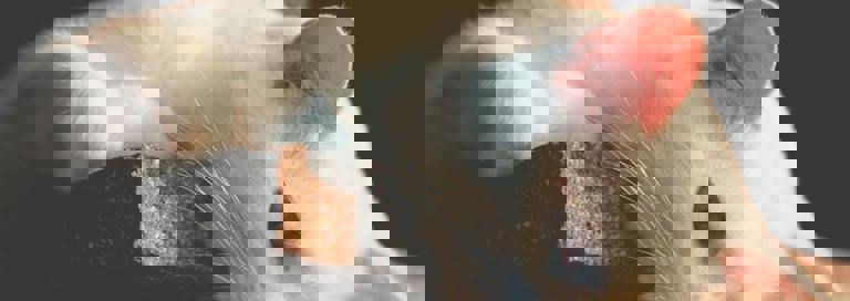 Pexels Micheleriva 93042