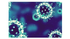 Corona Virus