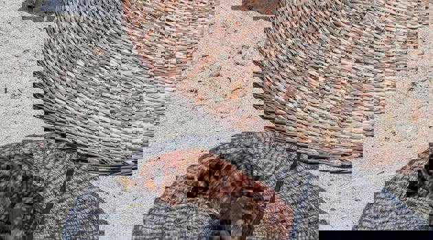 Pexels Sude 48519443 7574067