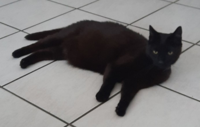 pepper.jpg