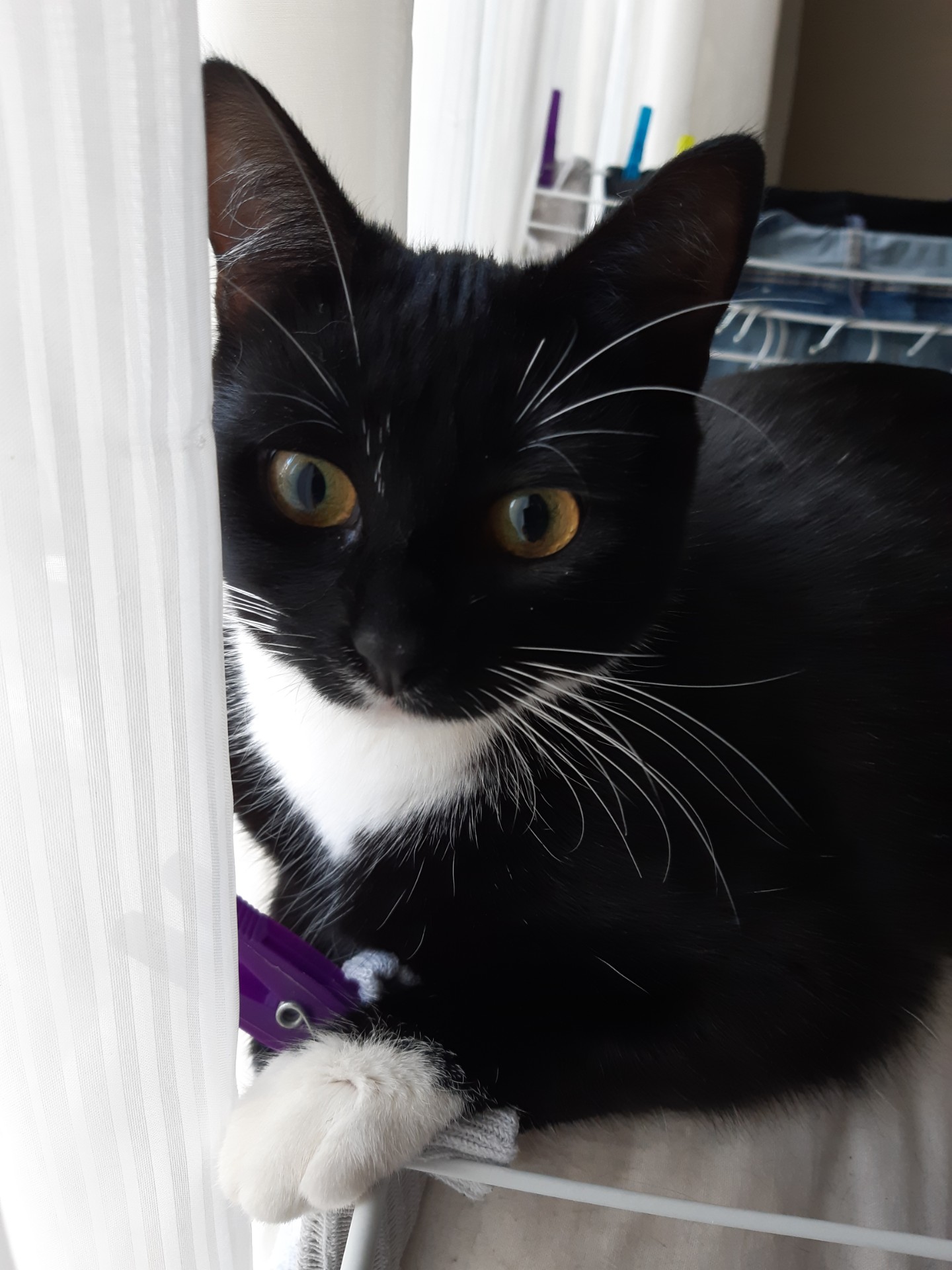olivia-1.jpg