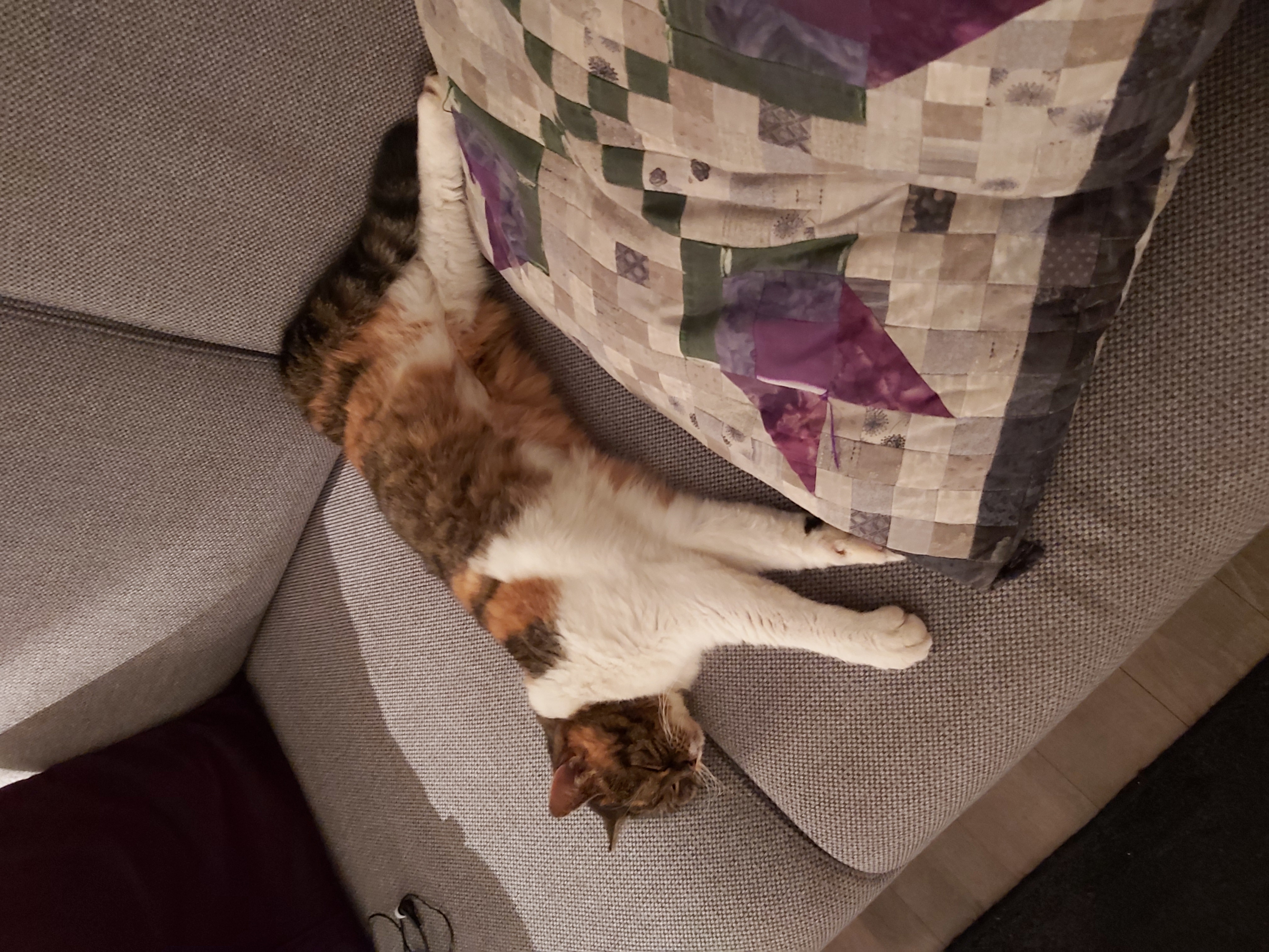 23de8xpj_20191205_190801.jpg