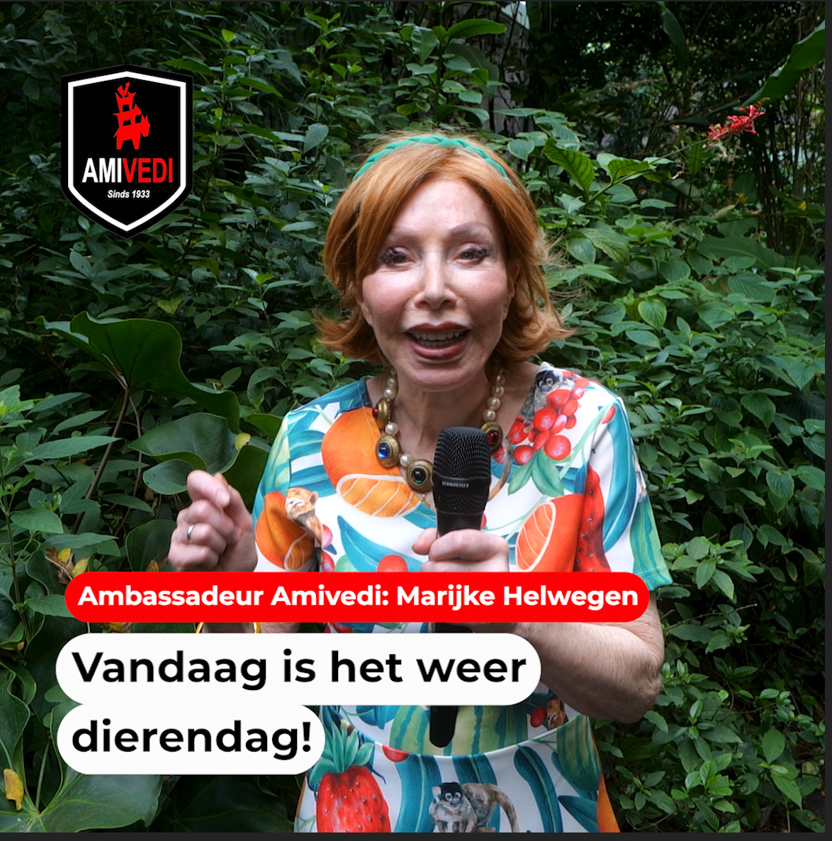 Amivedi Marijke Dierendag Insta