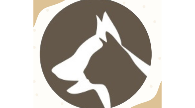 Logo Asiel Beilen