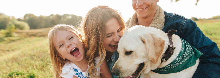 Nieuws Gevonden Dier