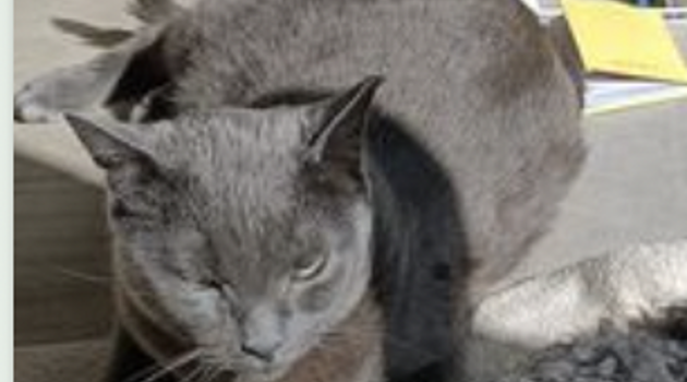 19xl0e15_Schermafbeelding 2022-04-10 om 09.49.54.png