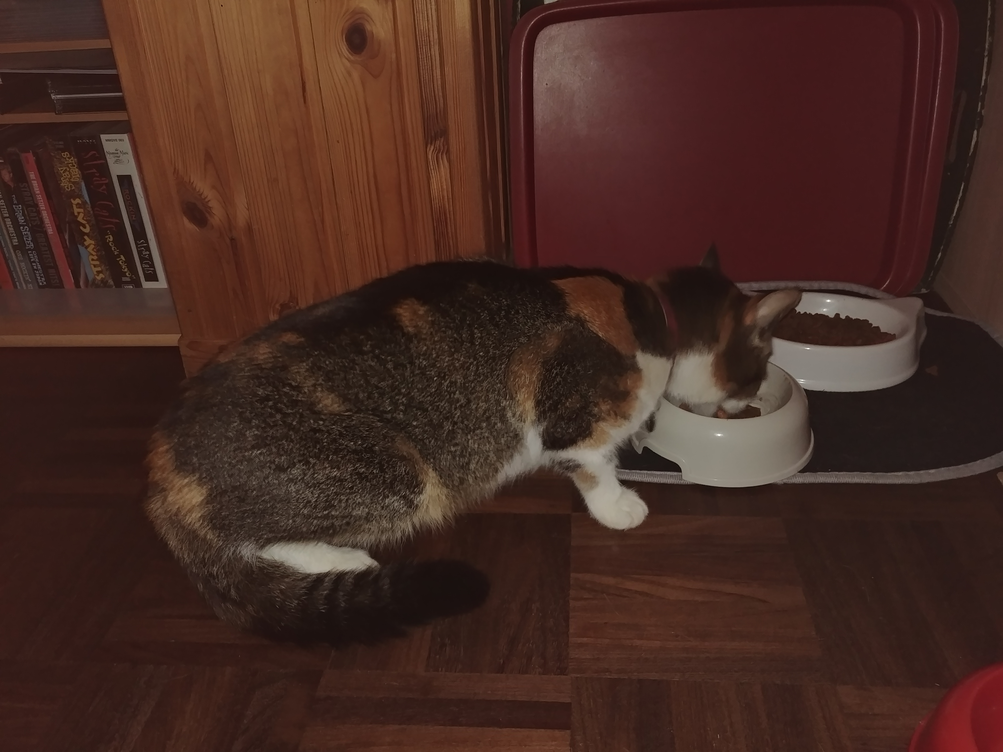 egoinztz_20201126_201116.jpg