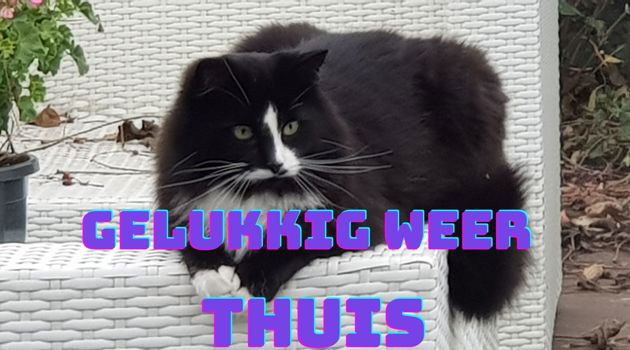 k343rs8l_Weer thuis.jpg