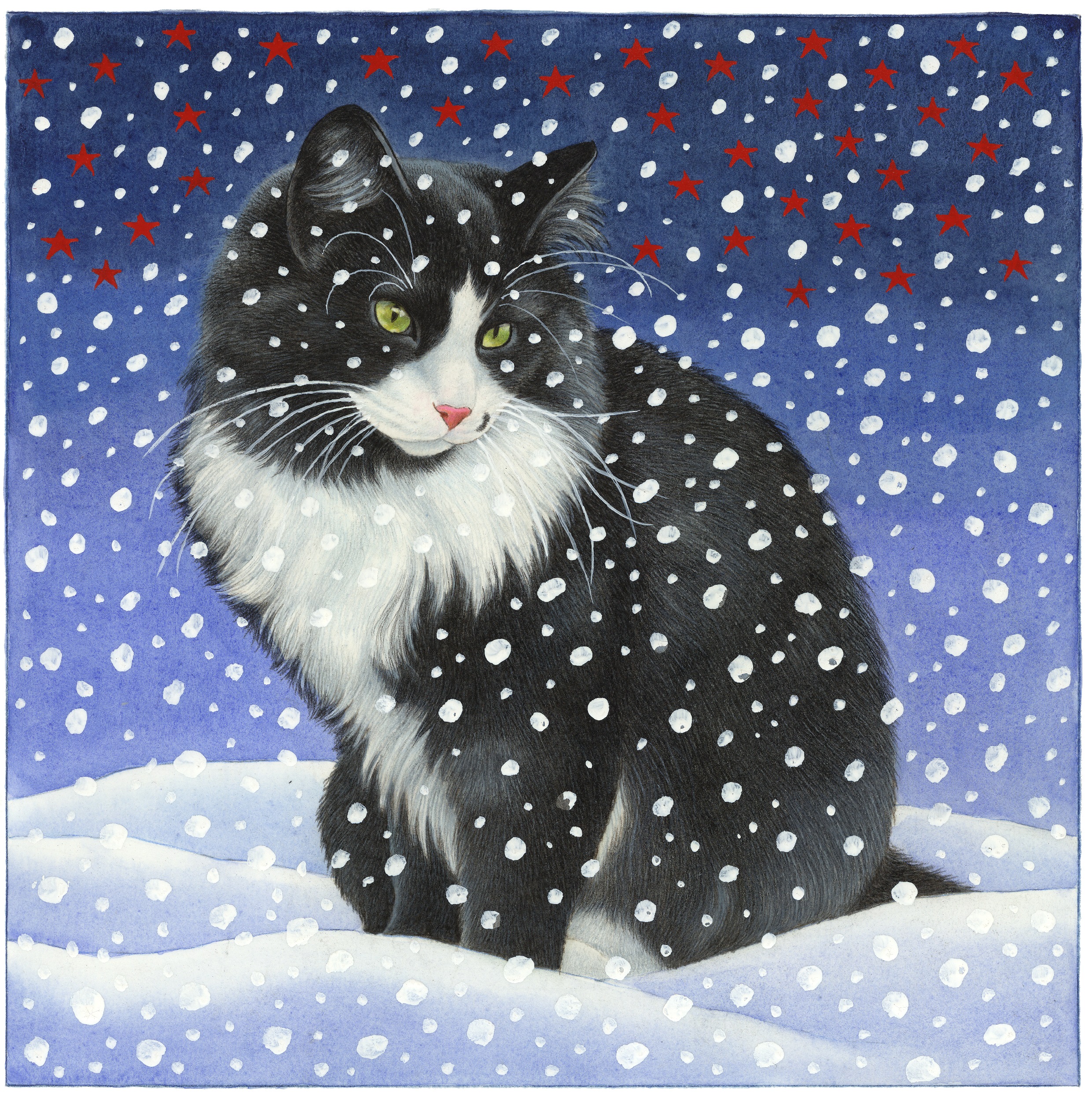 Mozesinsneeuw