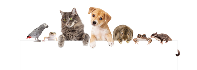 Nieuws Positieflijst