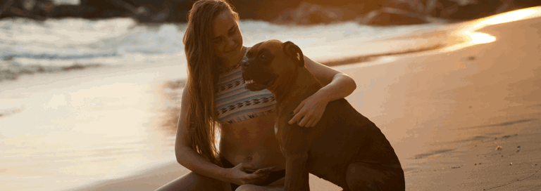 Pexels Freestockpro 319899Hondstrand Min