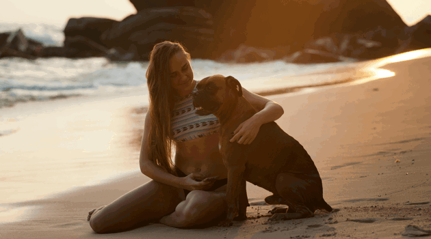 Pexels Freestockpro 319899Hondstrand Min