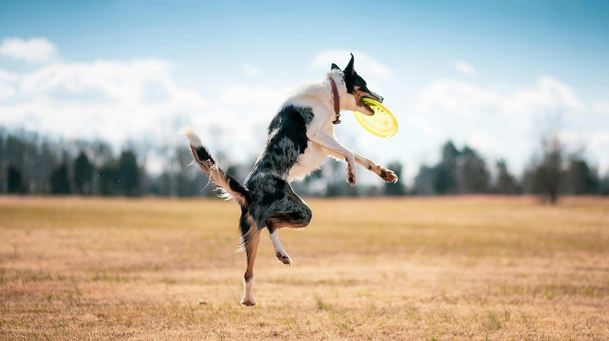 Pexels Zante 6528158 Min